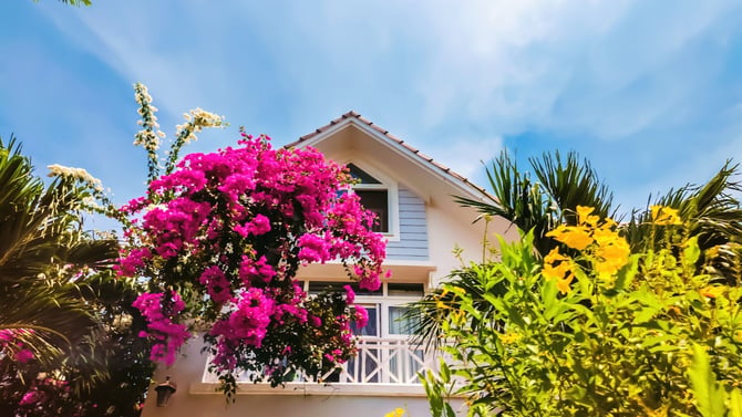 Hawaii First-Time Homebuyer Programs