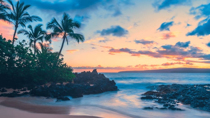 Maximize Your Hawaii Rental Income